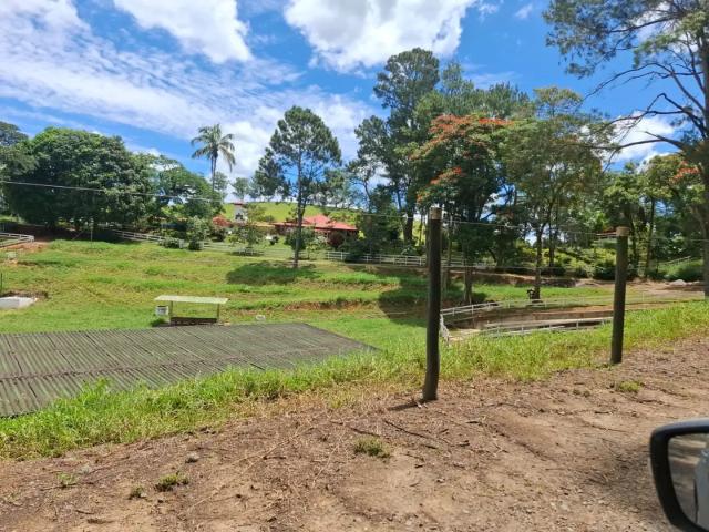 Sítio / Chácara para Venda em Goianá/MG Zona Rural 4 Quartos