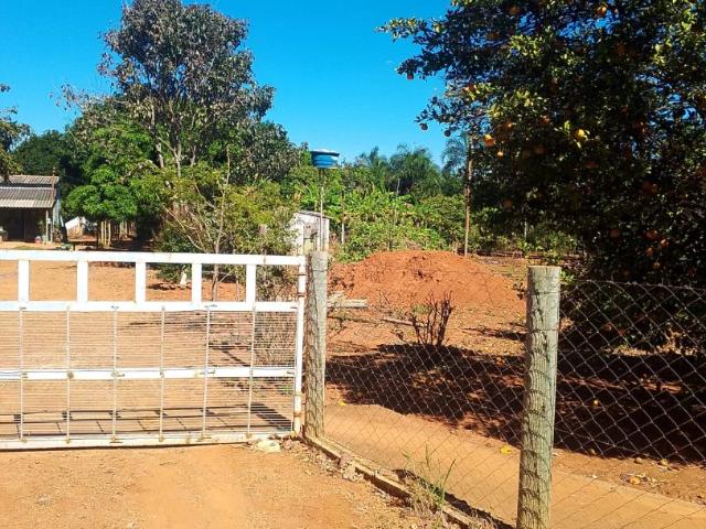 Sítio / Chácara para Venda em Goianápolis/GO Jardim Primavera 1 Quartos
