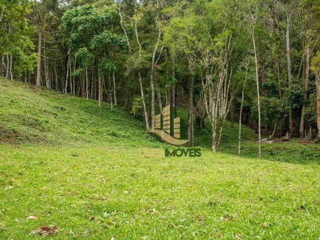 Sítio / Chácara para Venda em Gonçalves/MG Campestre