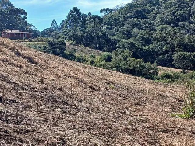 Sítio / Chácara para Venda em Gonçalves/MG Centro