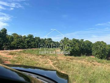 Sítio / Chácara para Venda em Garça/SP Zona Rural 1 Quartos