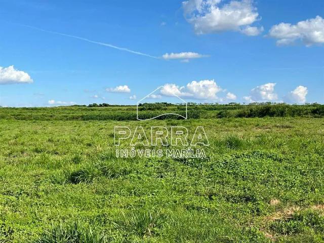Sítio / Chácara para Venda em Garça/SP Zona Rural 1 Quartos