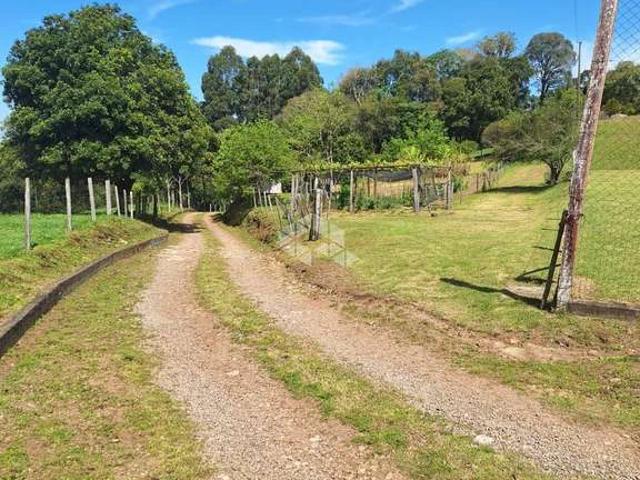 Sítio / Chácara para Venda em Garibaldi/RS Alfândega 3 Quartos