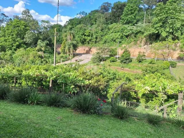 Sítio / Chácara para Venda em Garibaldi/RS São Roque 2 Quartos
