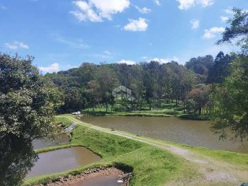 Sítio / Chácara para Venda em Garibaldi/RS Tamandaré 3 Quartos