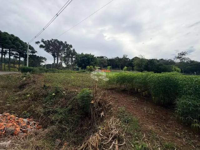Sítio / Chácara para Venda em Garibaldi/RS Zona Rural