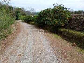 Sítio / Chácara para Venda em Garibaldi/RS Zona Rural