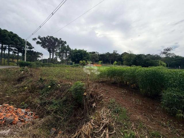 Sítio / Chácara para Venda em Garibaldi/RS Zona Rural
