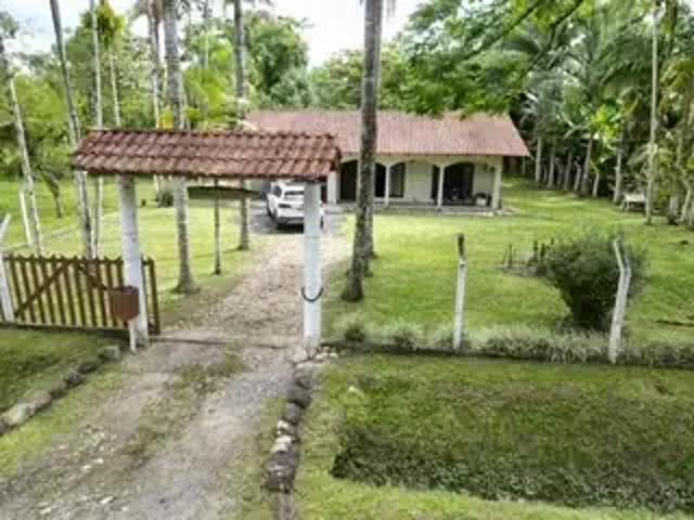 Sítio / Chácara para Venda em Garuva/SC Palmital 3 Quartos