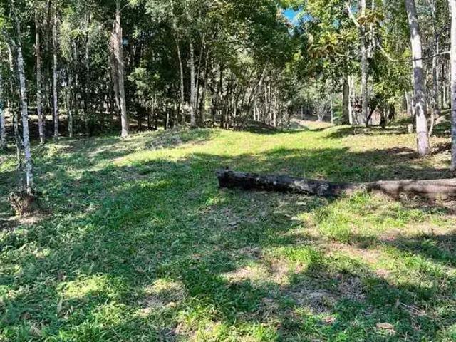 Sítio / Chácara para Venda em Gaspar/SC Alto Gasparinho