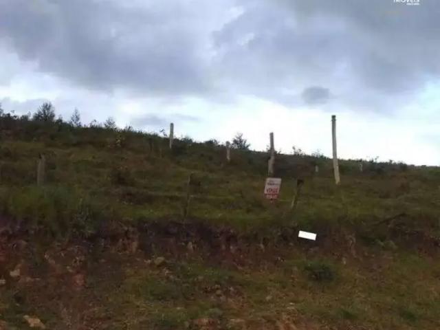 Sítio / Chácara para Venda em Gaspar/SC Gaspar Alto