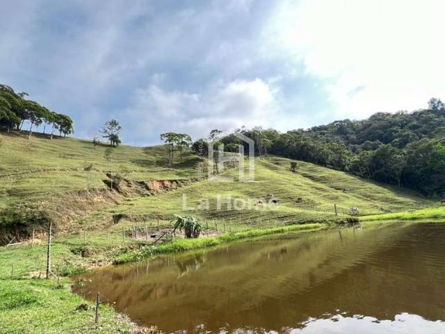Sítio / Chácara para Venda em Gaspar/SC Gasparinho 3 Quartos