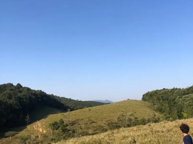 Sítio / Chácara para Venda em Gaspar/SC Povoado de Barracão