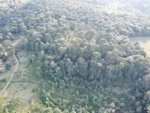 Sítio / Chácara para Venda em General Carneiro/PR Zona Rural