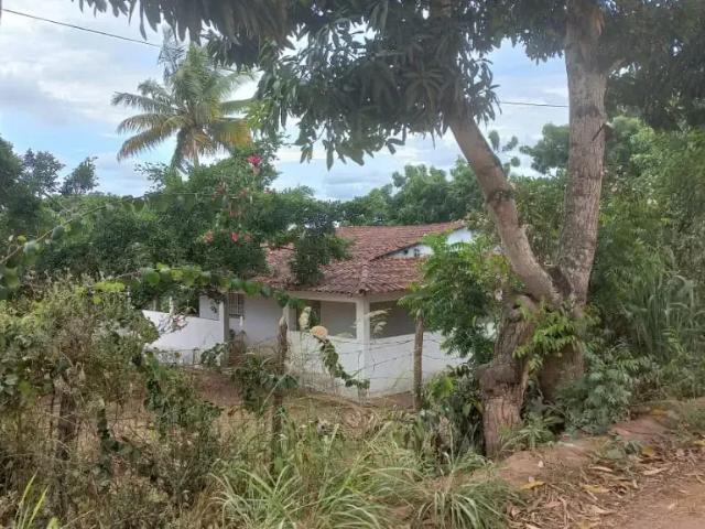 Sítio / Chácara para Venda em Glória do Goitá/PE Zona Rural