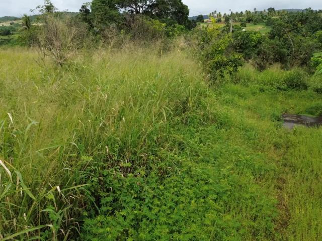 Sítio / Chácara para Venda em Glória do Goitá/PE Zona Rural