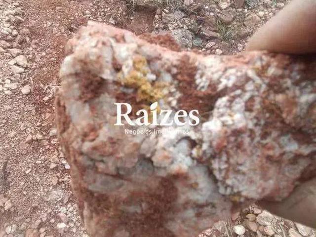 Sítio / Chácara para Venda em Grão Mogol/MG Zona Rural