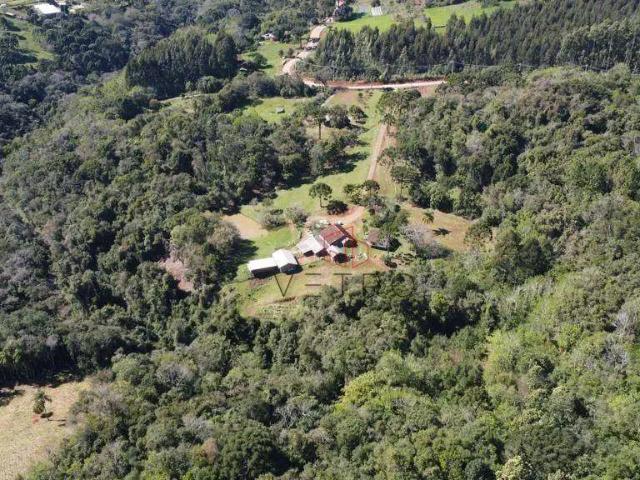 Sítio / Chácara para Venda em Gramado/RS Araripe 2 Quartos