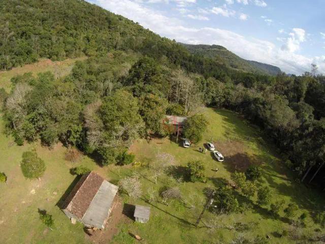 Sítio / Chácara para Venda em Gramado/RS Araripe