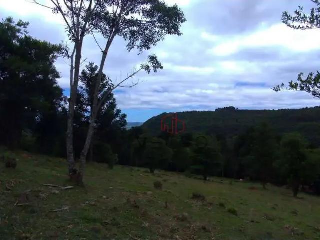 Sítio / Chácara para Venda em Gramado/RS Carazal