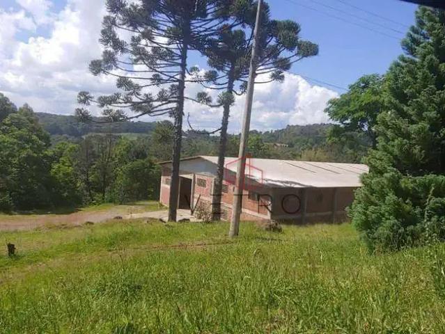 Sítio / Chácara para Venda em Gramado/RS Carazal