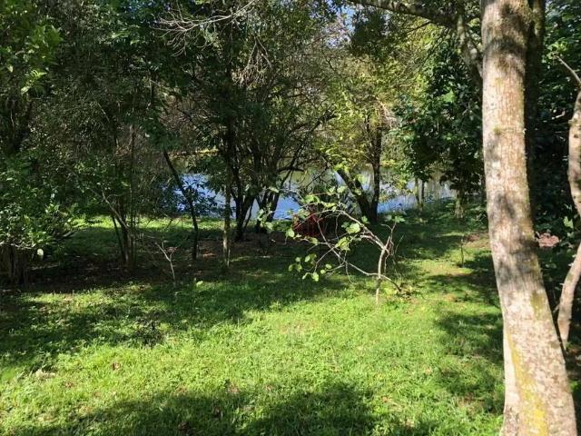 Sítio / Chácara para Venda em Gramado/RS Carazal