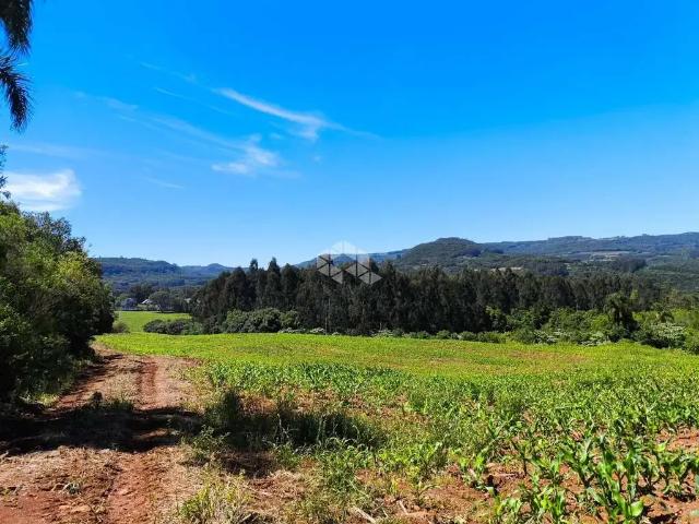 Sítio / Chácara para Venda em Gramado/RS Centro