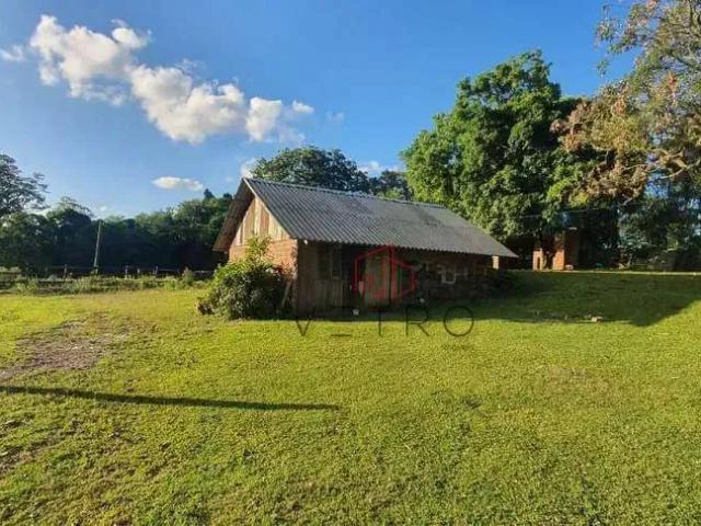 Sítio / Chácara para Venda em Gramado/RS Linha Ávila 4 Quartos