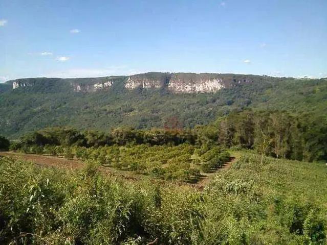 Sítio / Chácara para Venda em Gramado/RS Pedra Branca