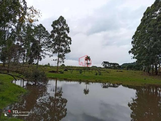 Sítio / Chácara para Venda em Gramado/RS Serra Grande