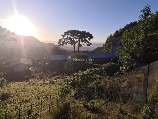 Sítio / Chácara para Venda em Gramado/RS Serra Grande