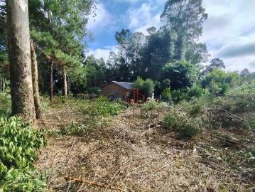Sítio / Chácara para Venda em Gramado/RS Zona Rural