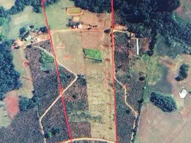 Sítio / Chácara para Venda em Grandes Rios/PR Zona Rural
