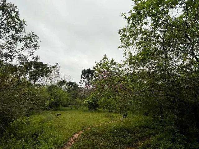 Sítio / Chácara para Venda em Gravataí/RS Neópolis 3 Quartos