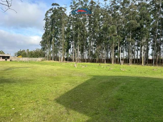 Sítio / Chácara para Venda em Gravataí/RS Parque Ipiranga 4 Quartos