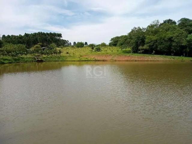 Sítio / Chácara para Venda em Gravataí/RS Parque Itacolomi 14 Quartos