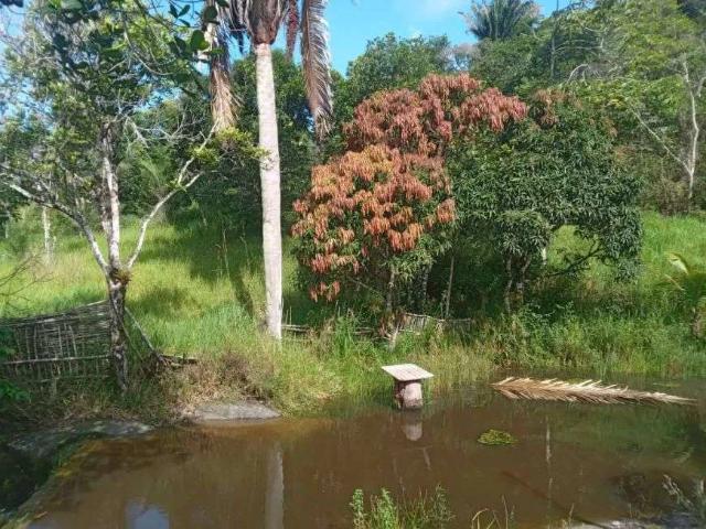Sítio / Chácara para Venda em Gravatá/PE Boa Vista