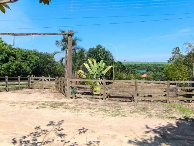 Sítio / Chácara para Venda em Guaiçara/SP Loteamento Aldeia Tiete 1 6 Quartos
