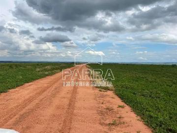 Sítio / Chácara para Venda em Guaimbê/SP Zona Rural 1 Quartos
