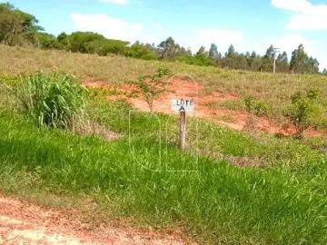 Sítio / Chácara para Venda em Guaimbê/SP Zona Rural