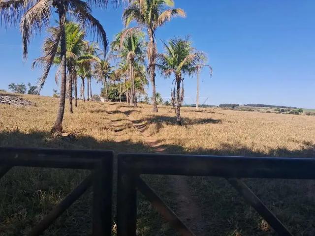 Sítio / Chácara para Venda em Guaimbê/SP Zona Rural