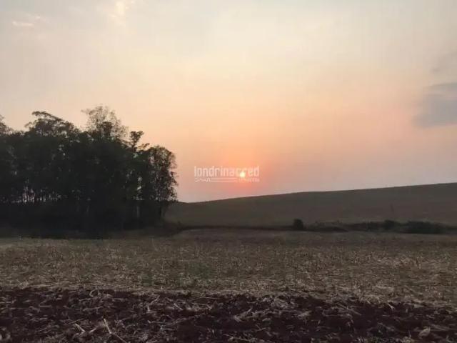Sítio / Chácara para Venda em Guairaçá/PR Zona Rural