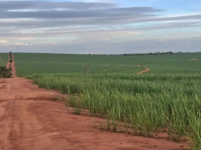 Sítio / Chácara para Venda em Guairaçá/PR Zona Rural