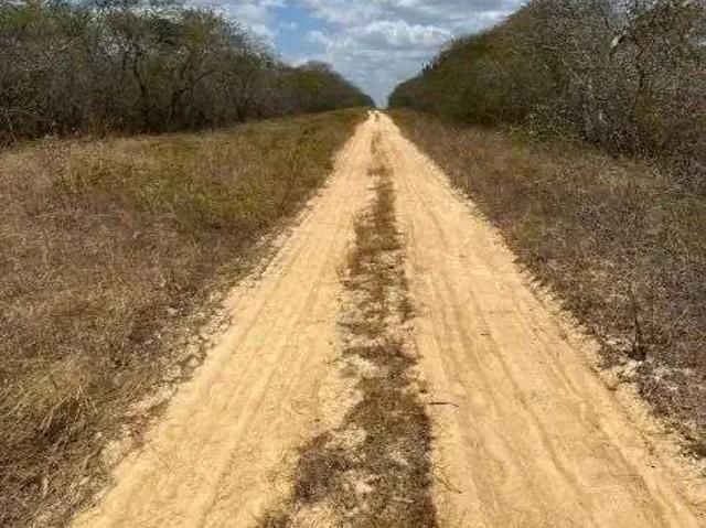 Sítio / Chácara para Venda em Guamaré/RN Centro 1 Quartos