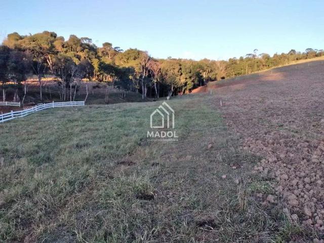 Sítio / Chácara para Venda em Guamiranga/PR Centro 2 Quartos