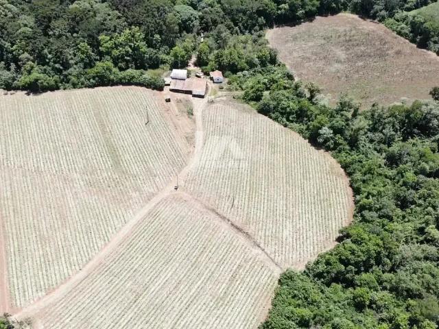 Sítio / Chácara para Venda em Guamiranga/PR Zona Rural 1 Quartos