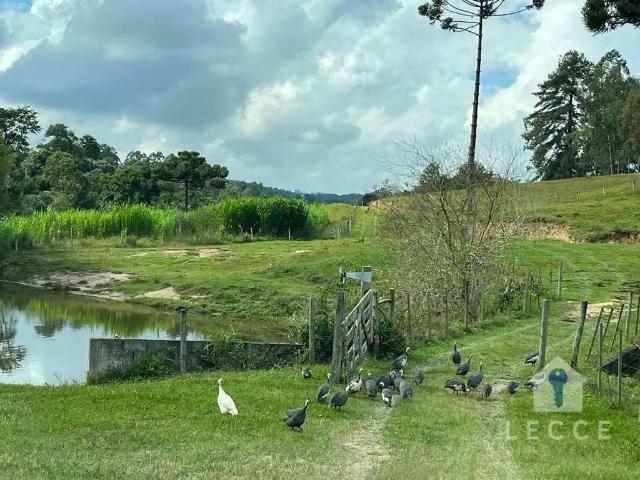 Sítio / Chácara para Venda em Guapiara/SP Zona Rural 3 Quartos