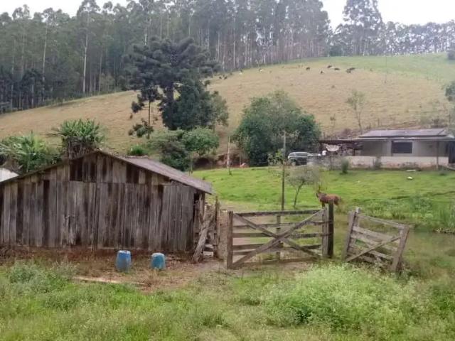 Sítio / Chácara para Venda em Guapiara/SP Zona Rural 2 Quartos