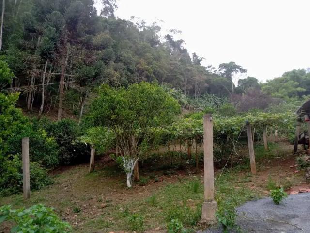 Sítio / Chácara para Venda em Guapiara/SP Centro 2 Quartos