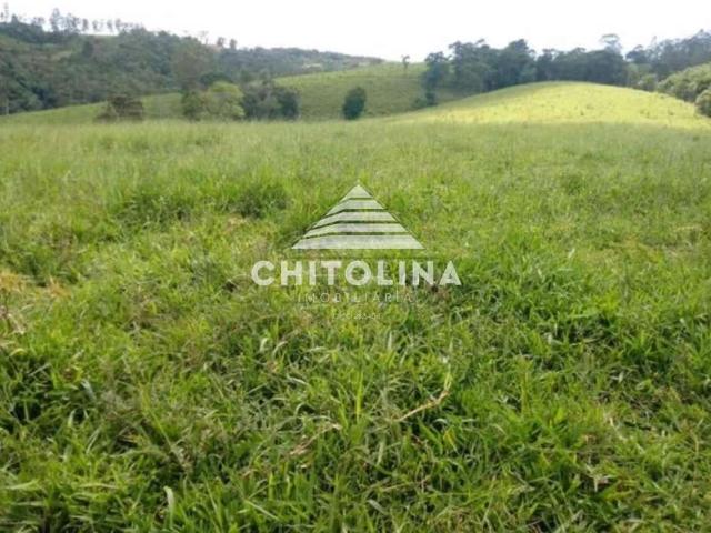 Sítio / Chácara para Venda em Guapiara/SP Pinheiros